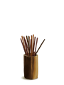 ȥǮ